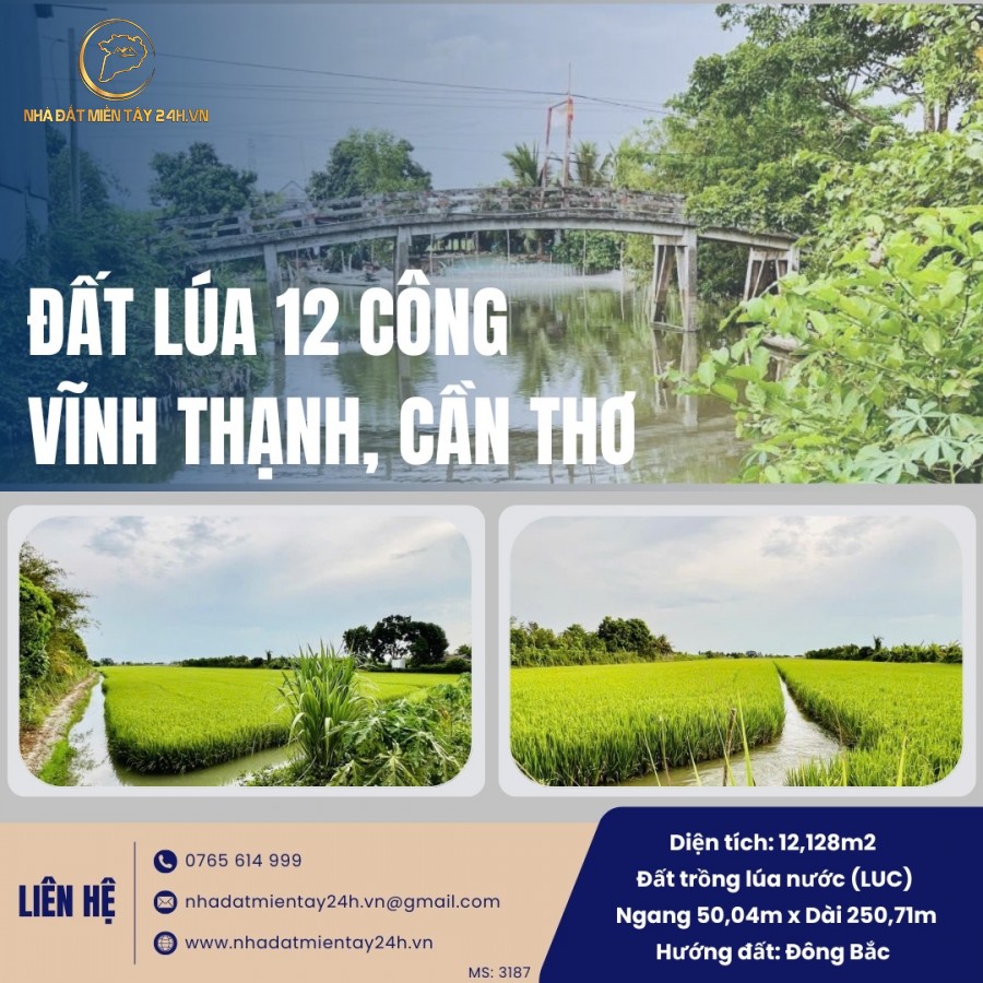 🌾 BÁN ĐẤT LÚA 12 CÔNG TẠI VĨNH TRINH, VĨNH THẠNH, CẦN THƠ - CƠ HỘI ĐẦU TƯ VÀNG! (MS: 3187) 🌾